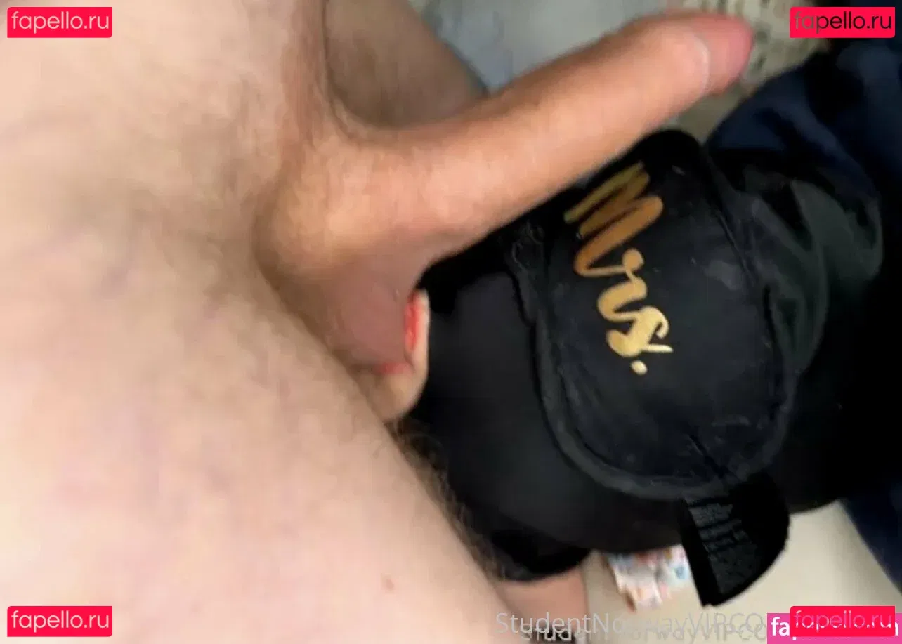 studentnorwayvip Onlyfans Photo Gallery 