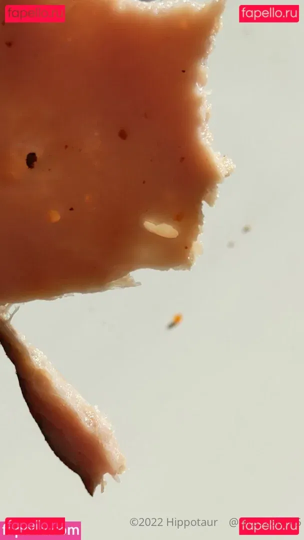 hippotaur Onlyfans Photo Gallery 