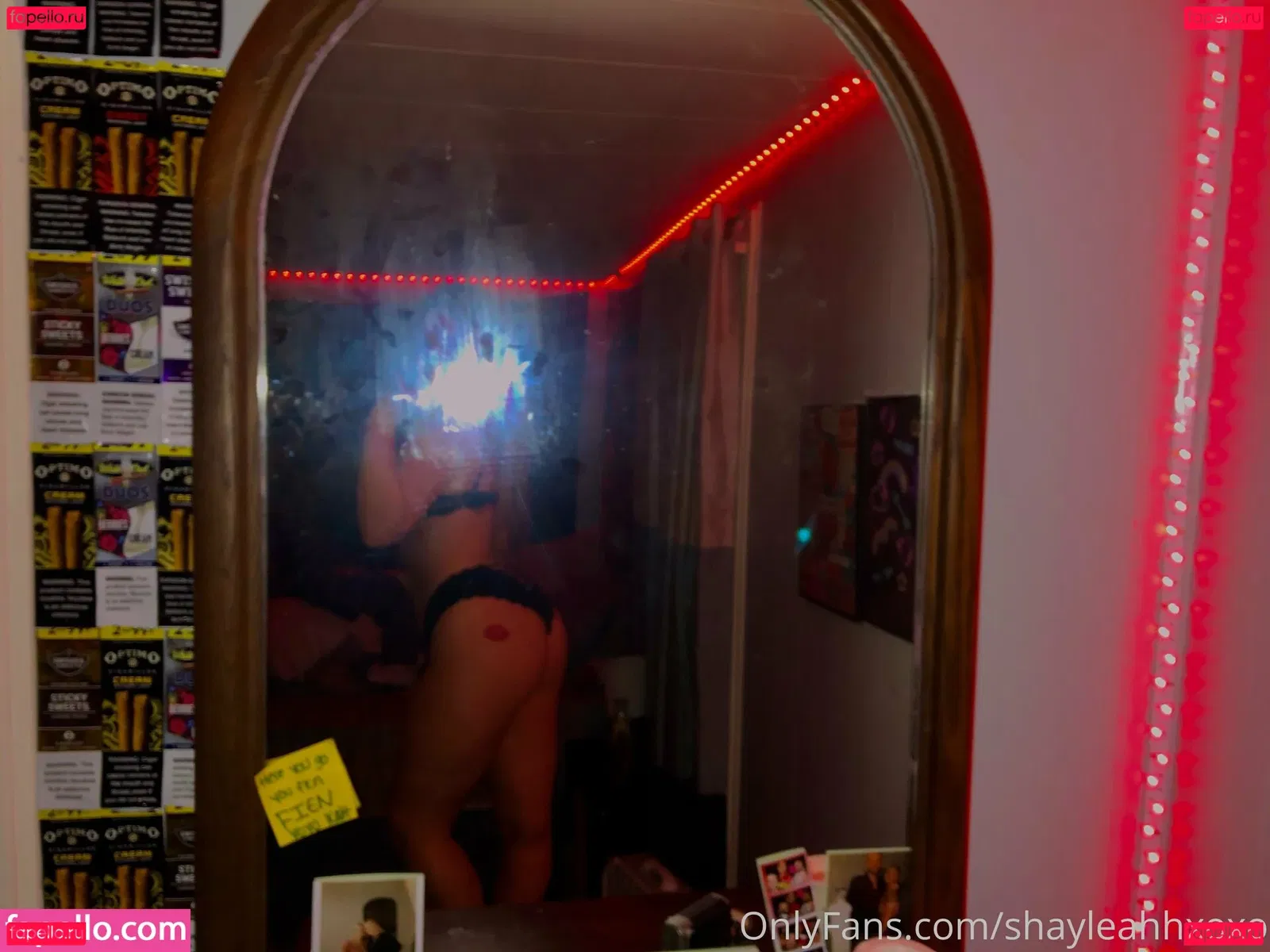 shayleahhxoxo Onlyfans Photo Gallery 