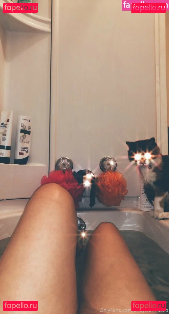 shayleahhxoxo Onlyfans Photo Gallery 