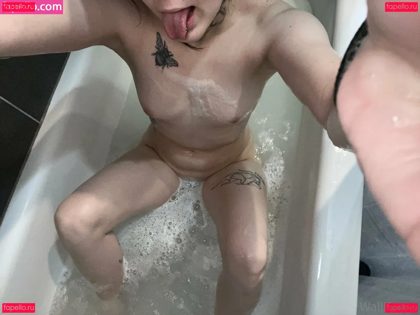 Wallfartss Onlyfans Photo Gallery 