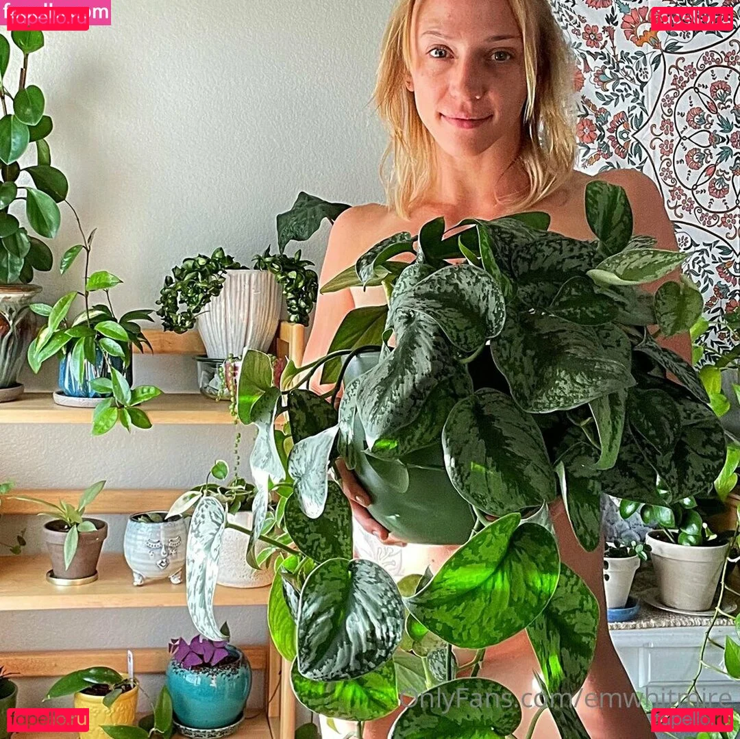 Emily Whitmire Onlyfans Photo Gallery 