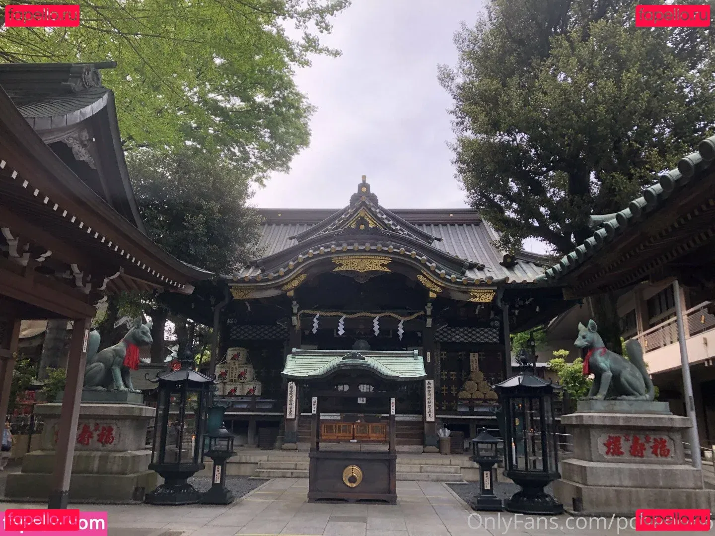 Pchan 666 Onlyfans Photo Gallery 