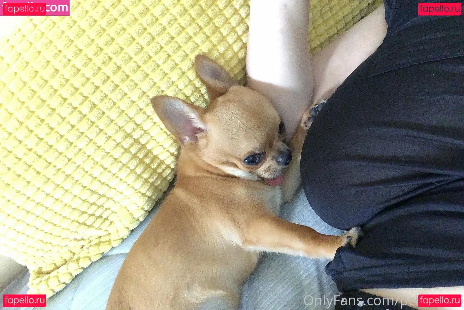 Pchan 666 Onlyfans Photo Gallery 