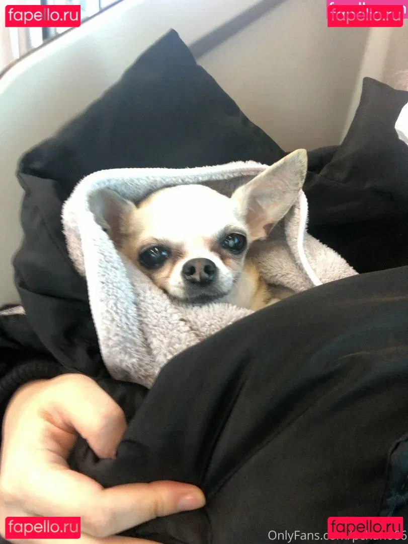 Pchan 666 Onlyfans Photo Gallery 