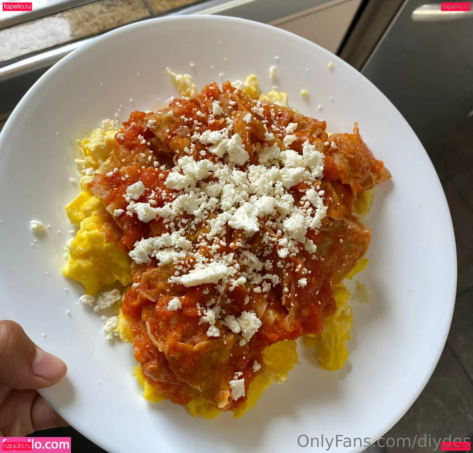 diydes Onlyfans Photo Gallery 