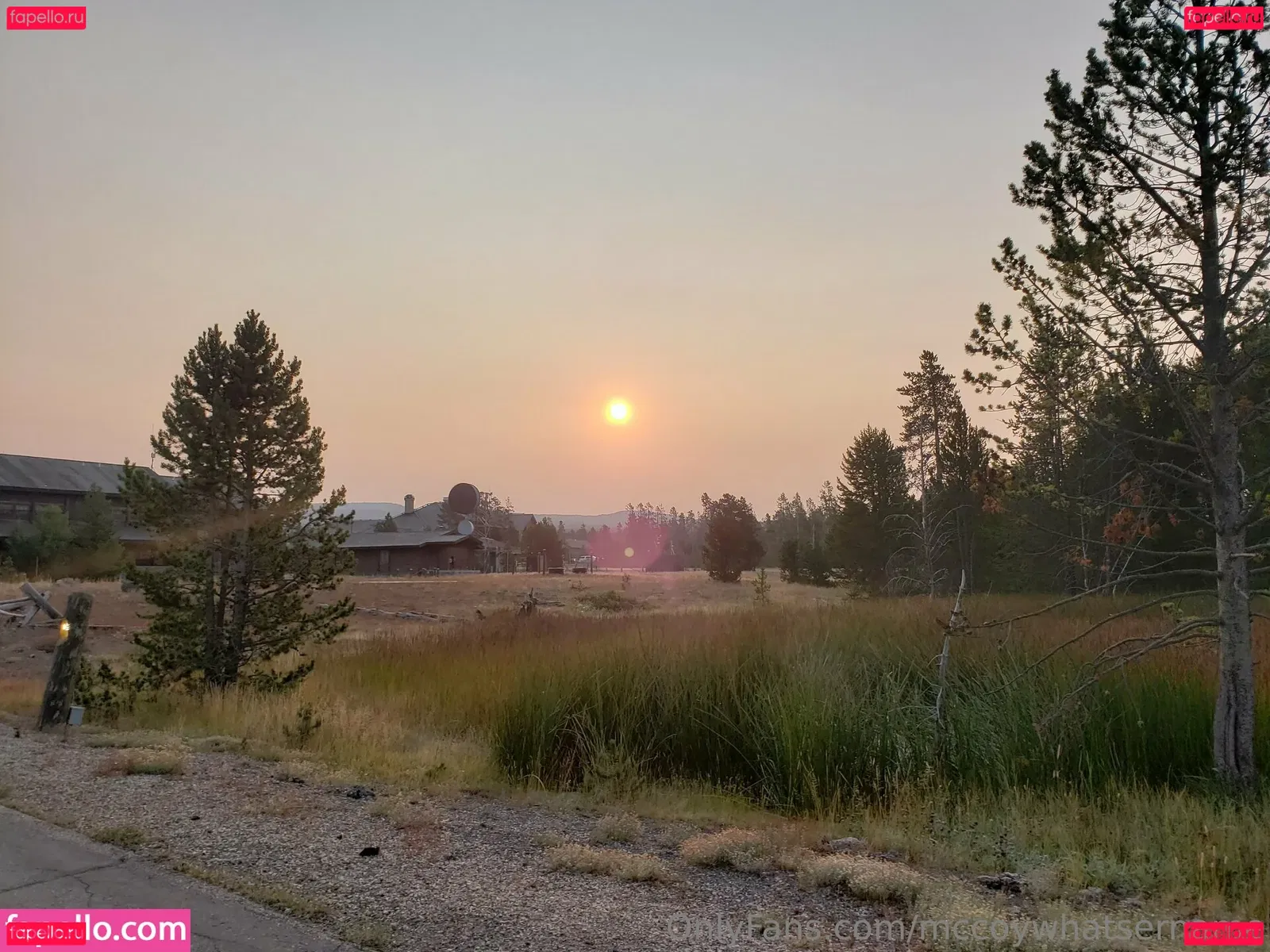 mccoywhatsername Onlyfans Photo Gallery 