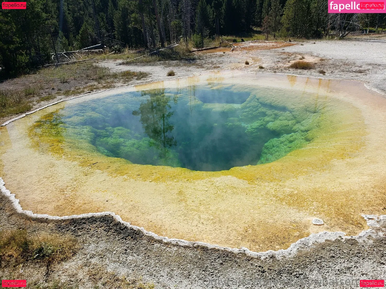 mccoywhatsername Onlyfans Photo Gallery 