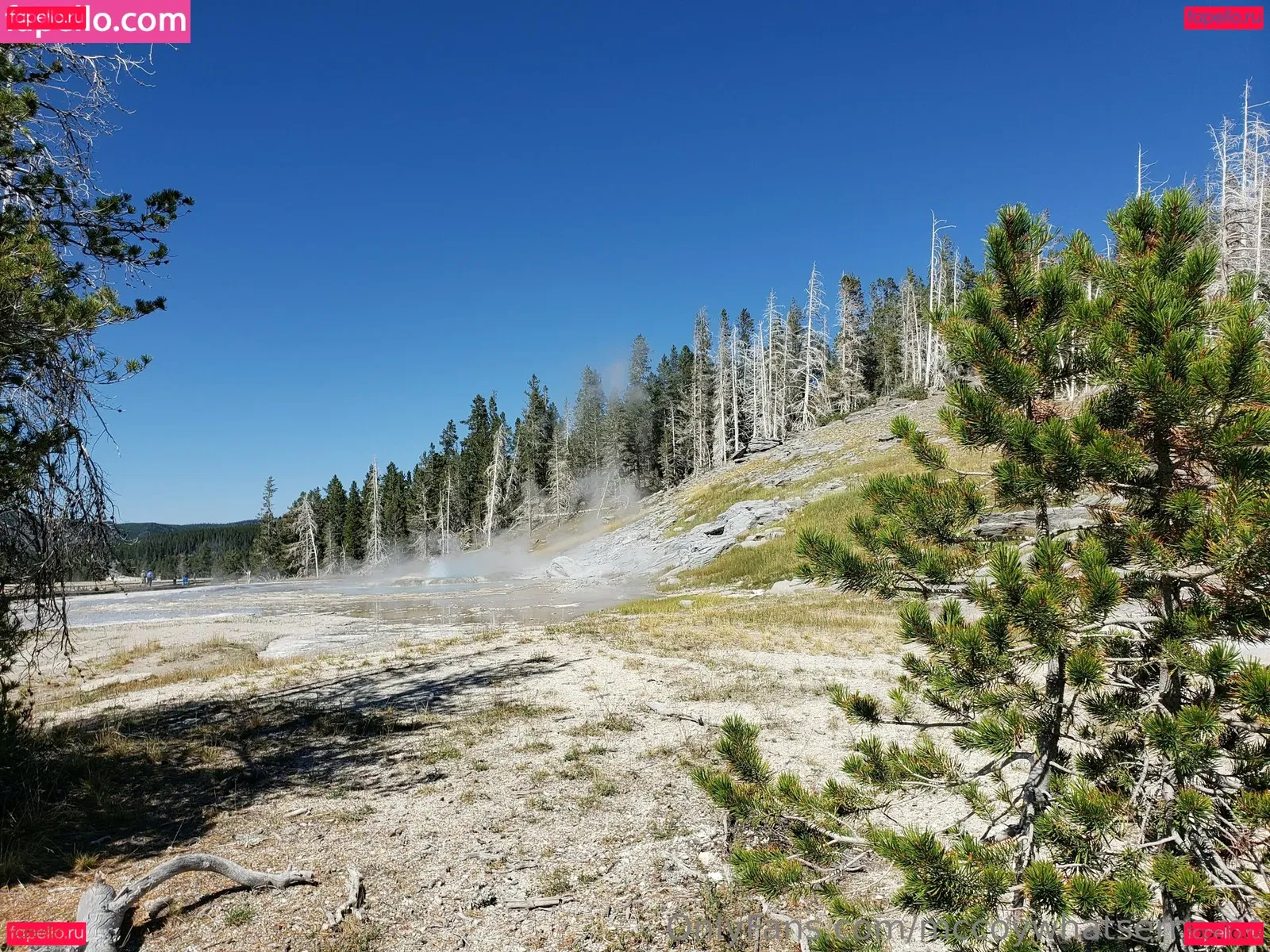 mccoywhatsername Onlyfans Photo Gallery 