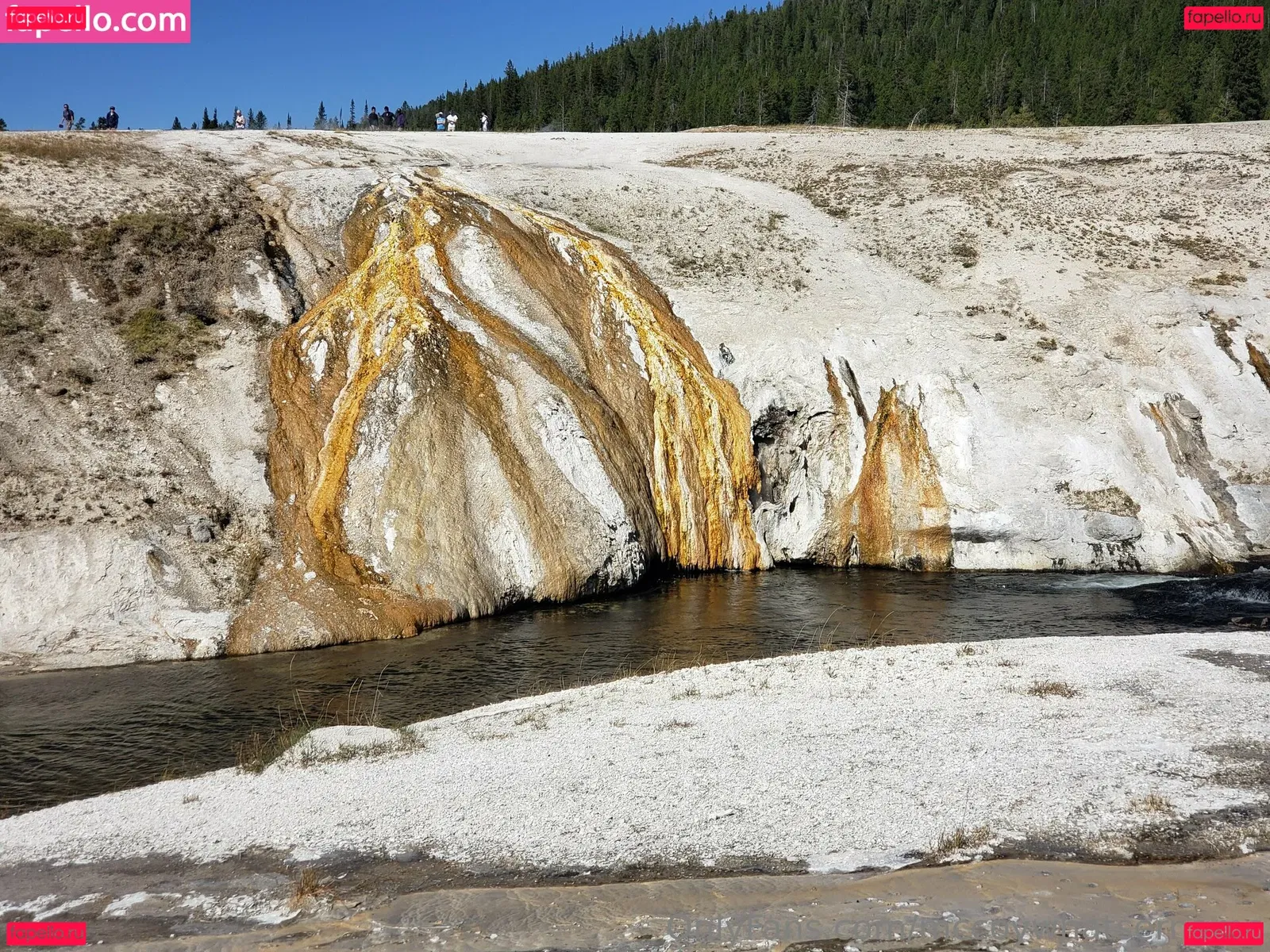 mccoywhatsername Onlyfans Photo Gallery 