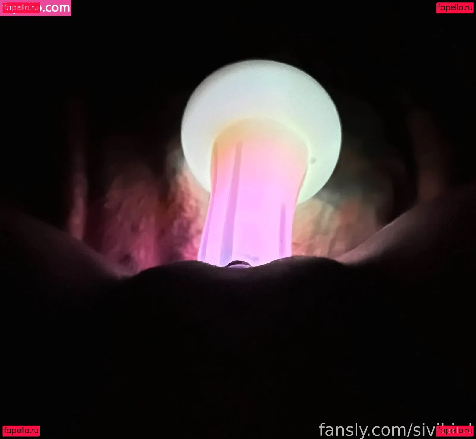 Projekt Sivi Onlyfans Photo Gallery 