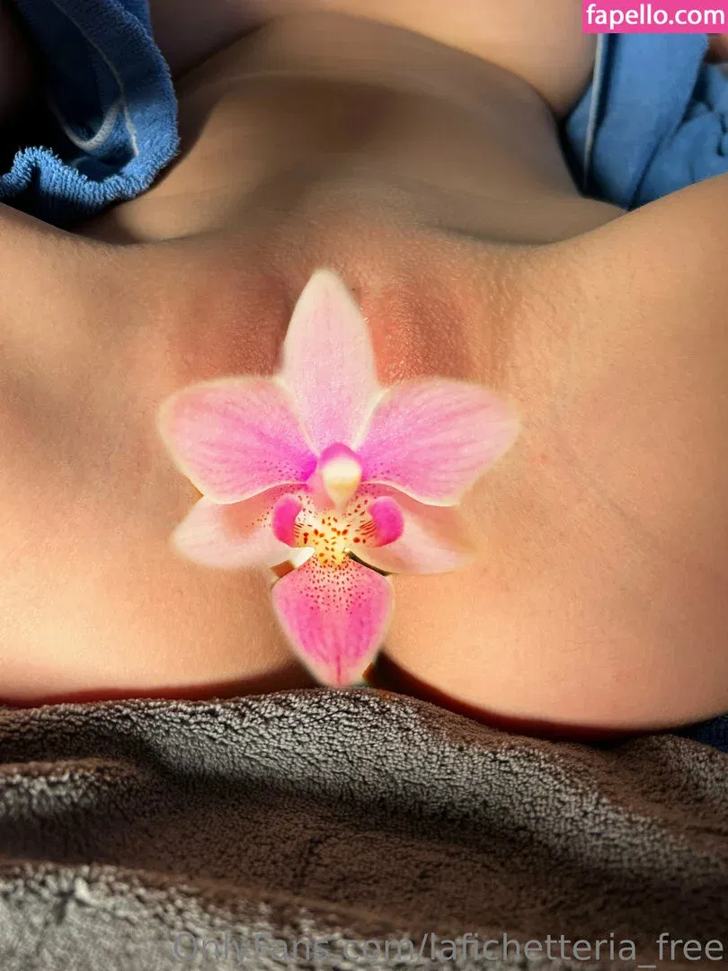 tomikoari_free Onlyfans Photo Gallery 