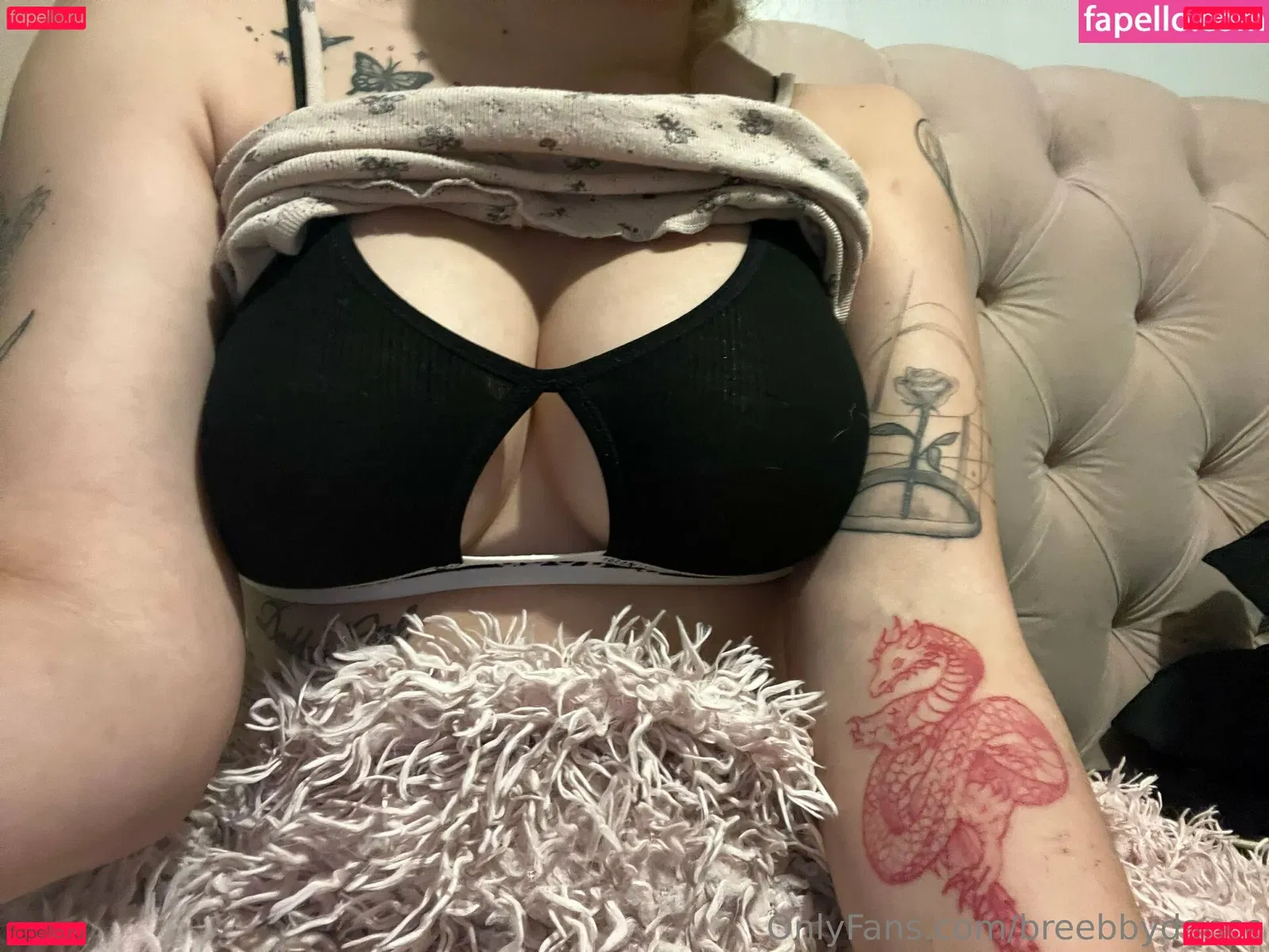 breebbydance Onlyfans Photo Gallery 