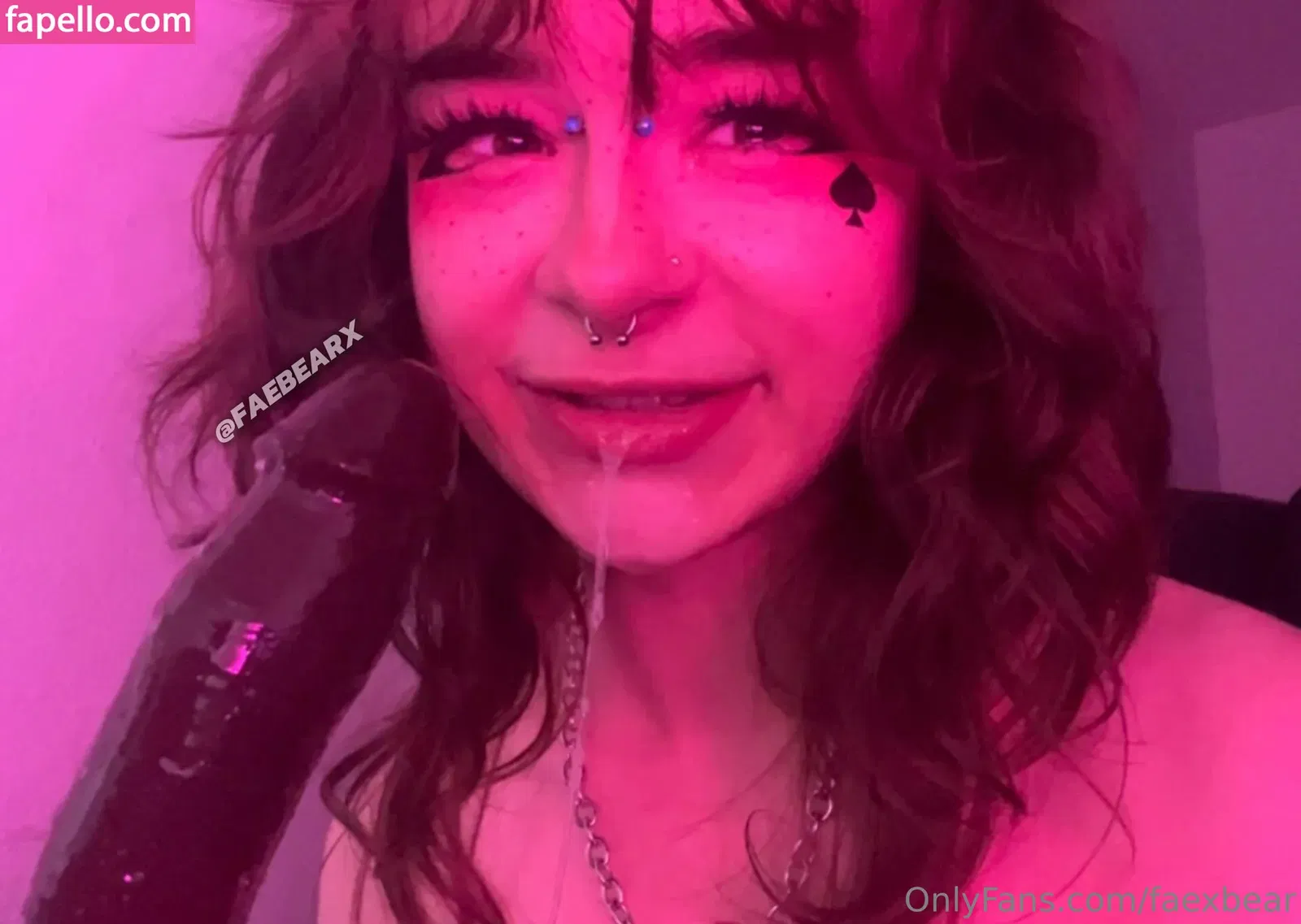 faexbear Onlyfans Photo Gallery 