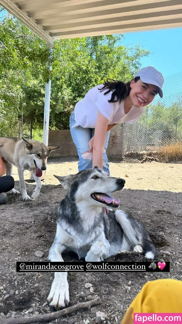 Miranda Cosgrove Onlyfans Photo Gallery 