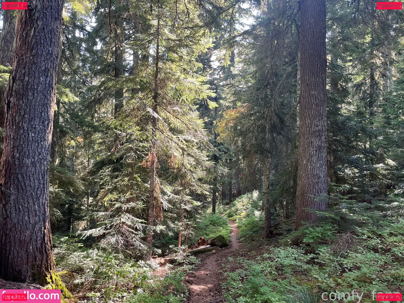 Falloutsam Onlyfans Photo Gallery 