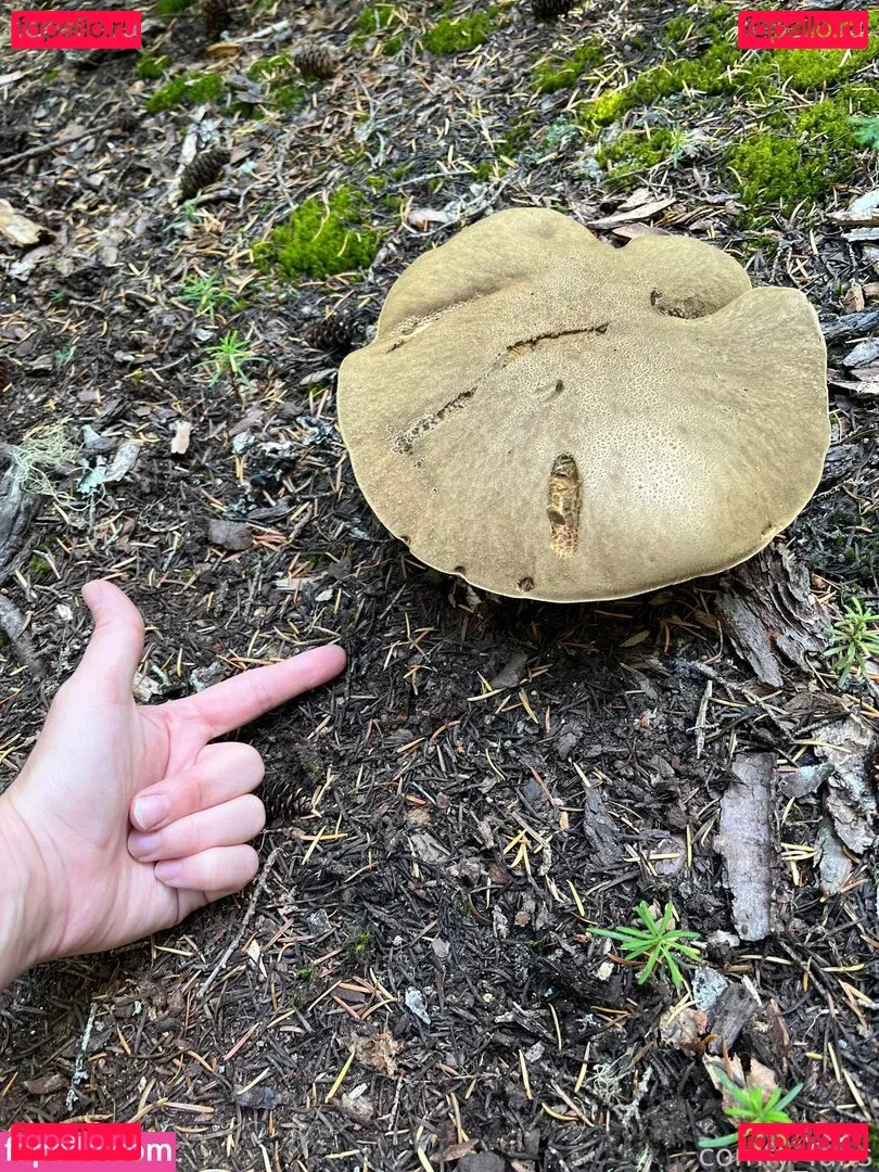 Falloutsam Onlyfans Photo Gallery 