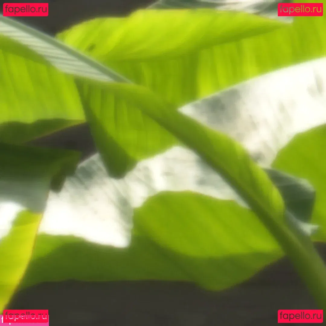 Suzu Honjo Onlyfans Photo Gallery 