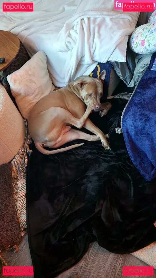 S_and_K Onlyfans Photo Gallery 