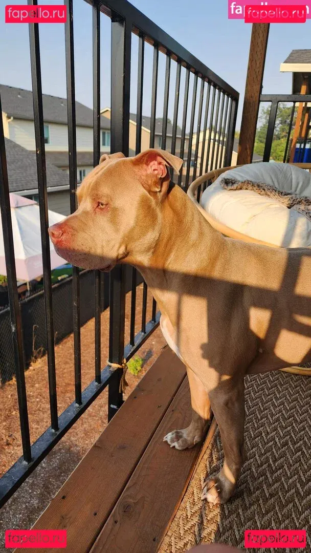 S_and_K Onlyfans Photo Gallery 