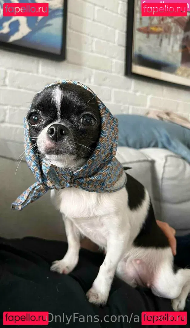 alisegold Onlyfans Photo Gallery 