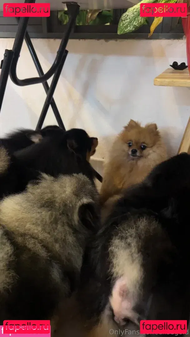 alisegold Onlyfans Photo Gallery 