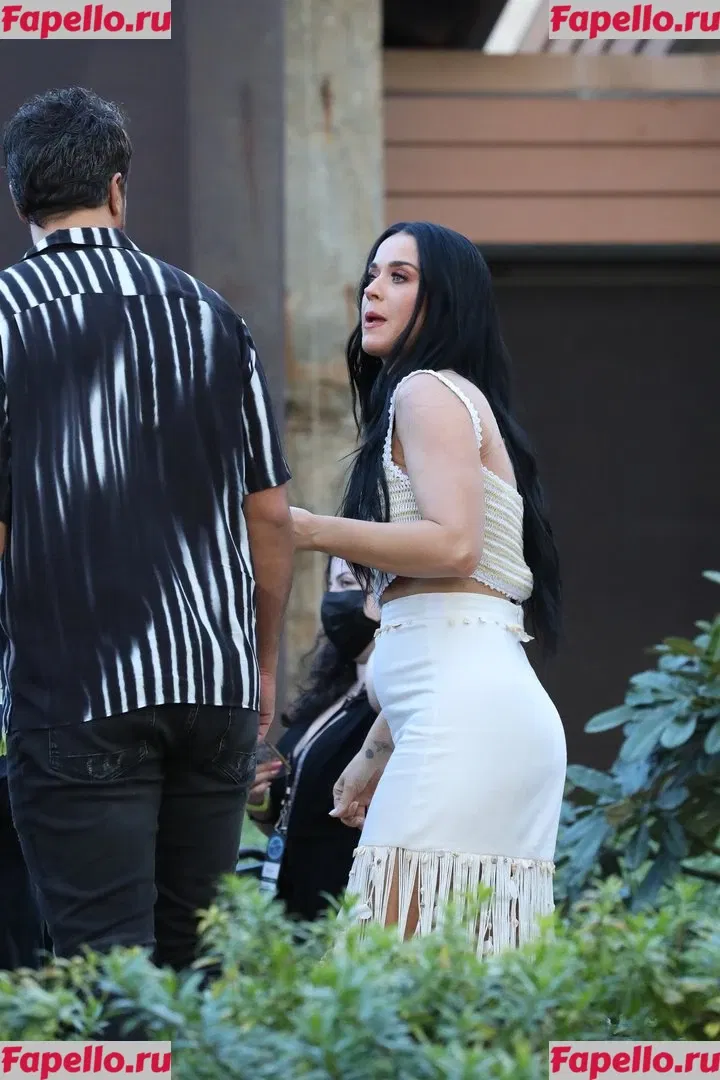 Katy Perry Onlyfans Photo Gallery 
