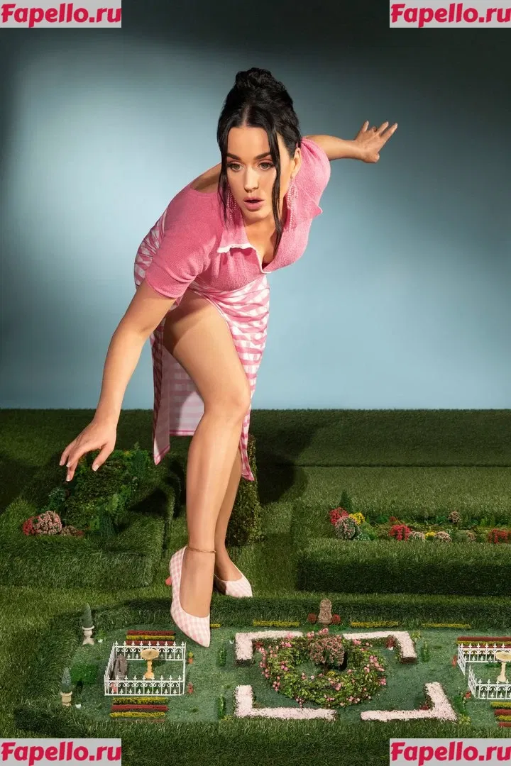 Katy Perry Onlyfans Photo Gallery 