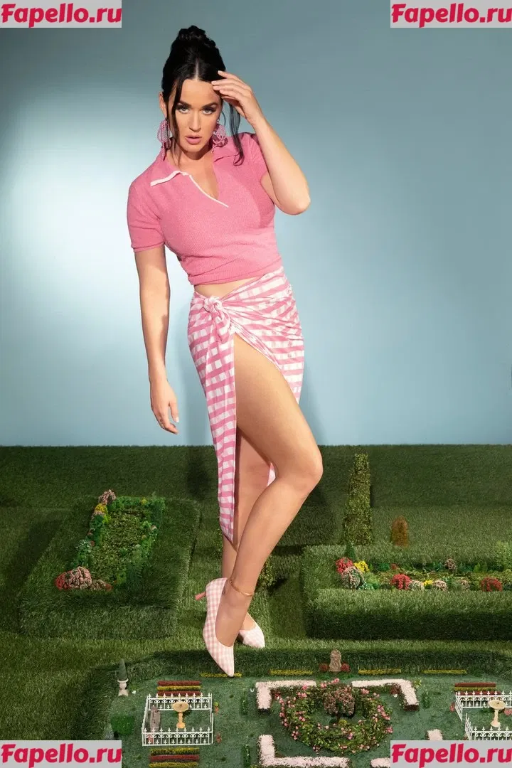 Katy Perry Onlyfans Photo Gallery 