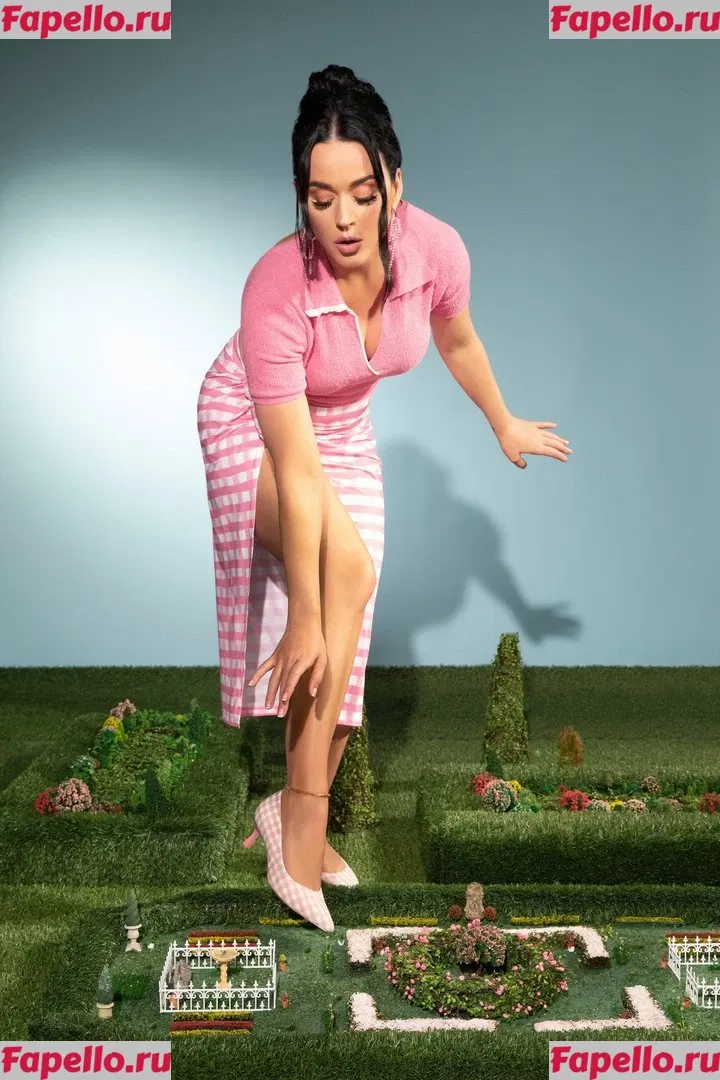 Katy Perry Onlyfans Photo Gallery 