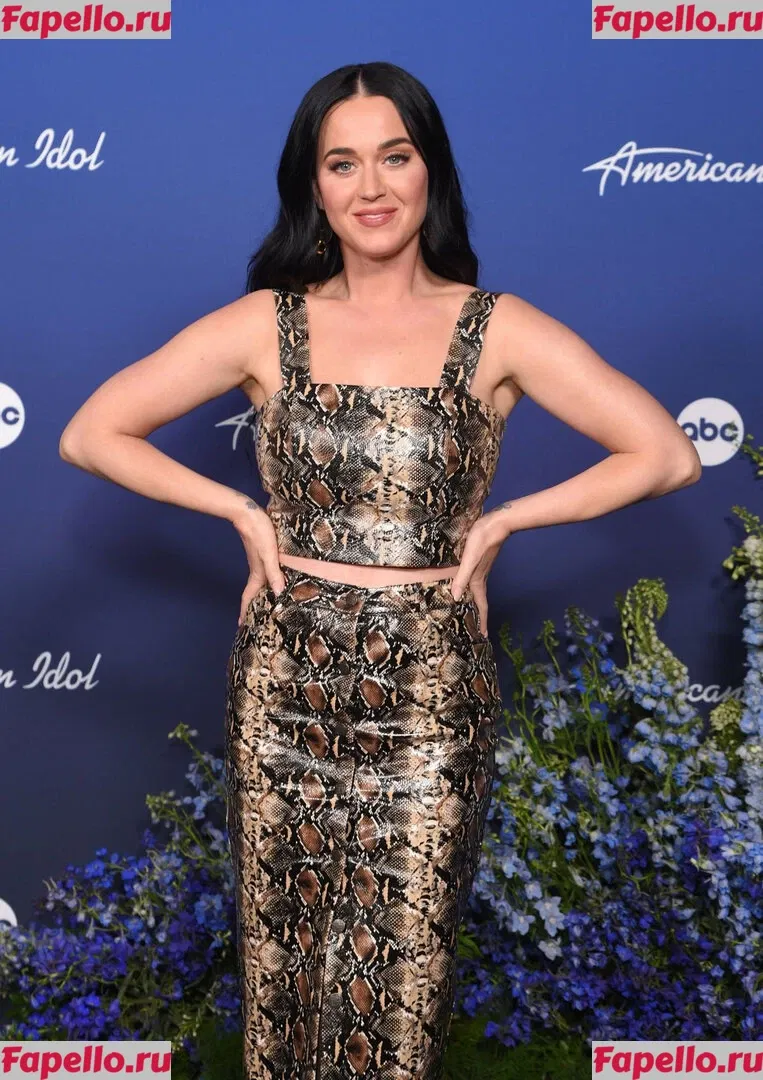 Katy Perry Onlyfans Photo Gallery 