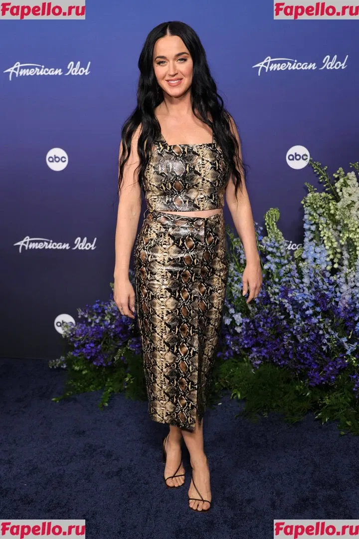 Katy Perry Onlyfans Photo Gallery 