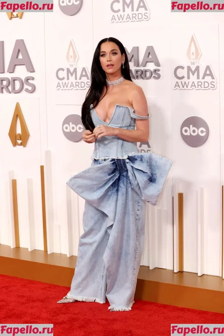 Katy Perry Onlyfans Photo Gallery 