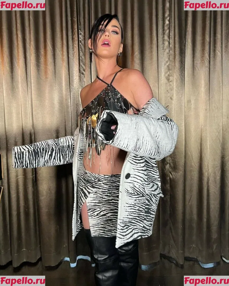 Katy Perry Onlyfans Photo Gallery 