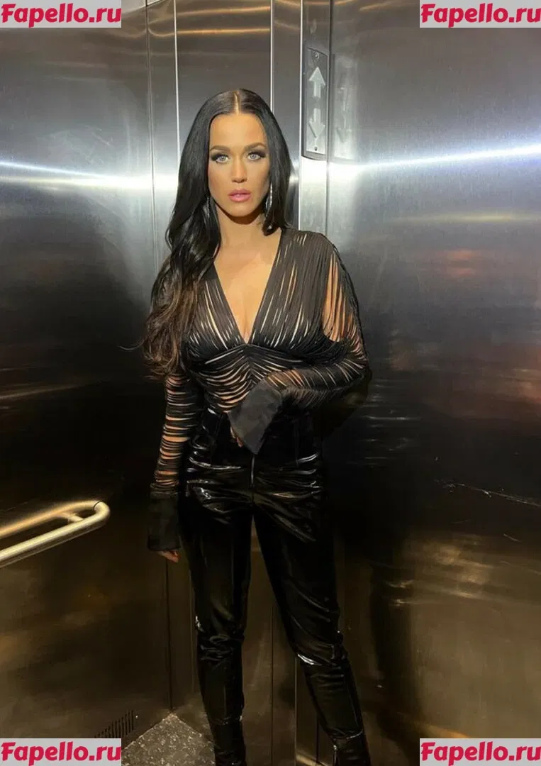 Katy Perry Onlyfans Photo Gallery 