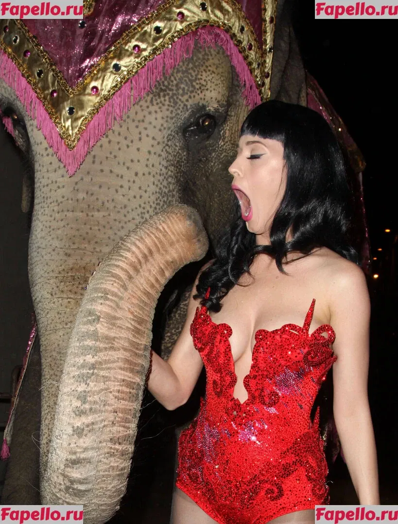 Katy Perry Onlyfans Photo Gallery 