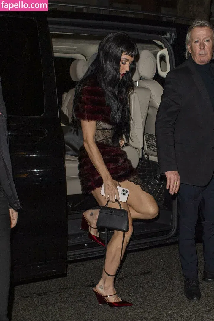 Katy Perry Onlyfans Photo Gallery 