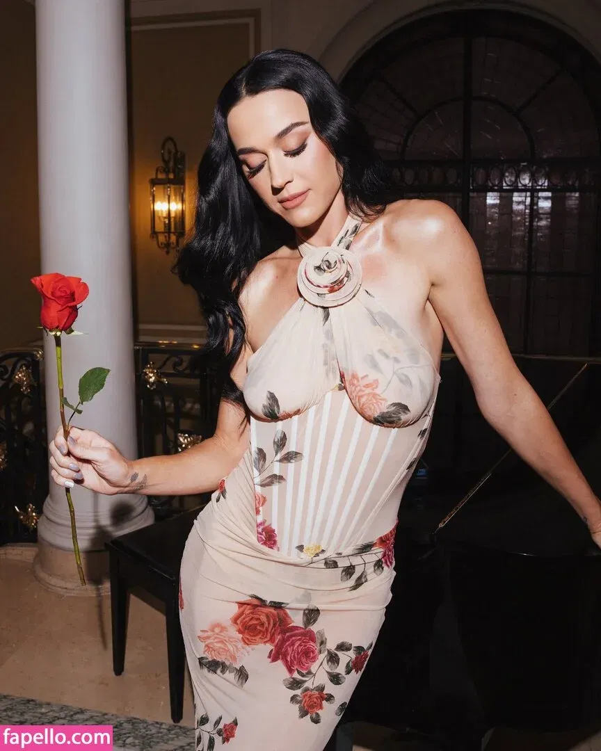 Katy Perry Onlyfans Photo Gallery 