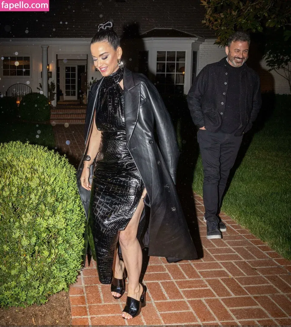 Katy Perry Onlyfans Photo Gallery 