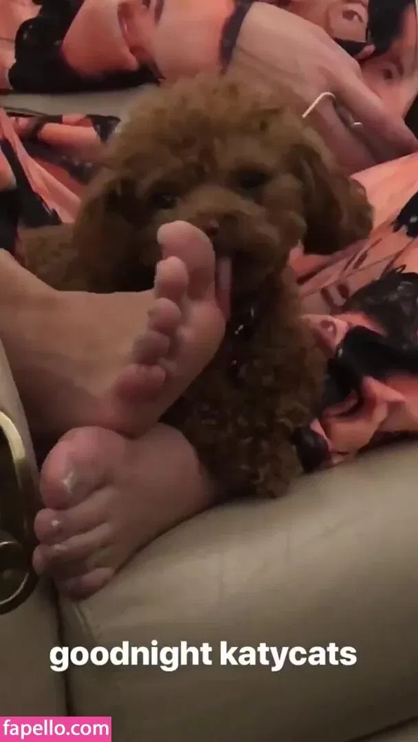 Katy Perry Onlyfans Photo Gallery 