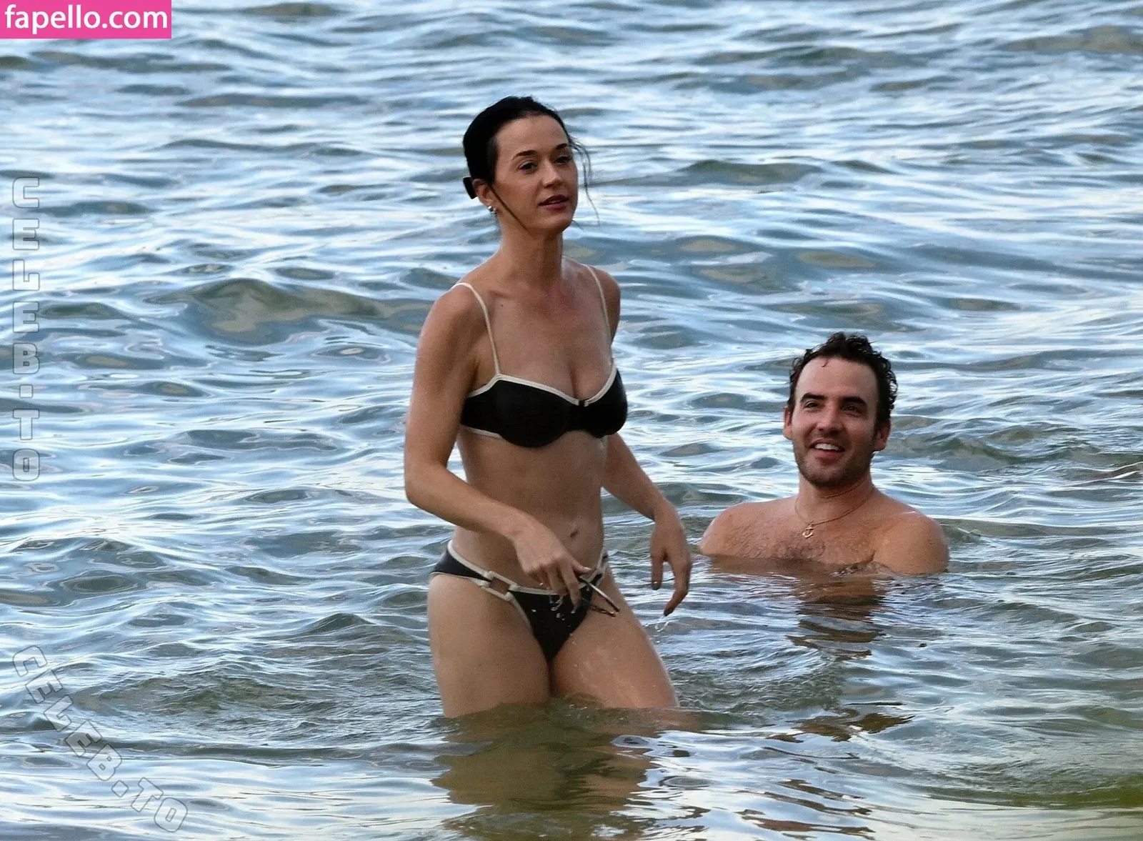 Katy Perry Onlyfans Photo Gallery 