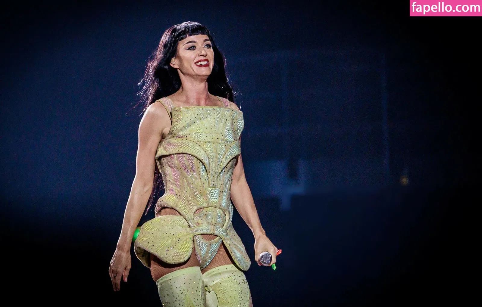 Katy Perry Onlyfans Photo Gallery 