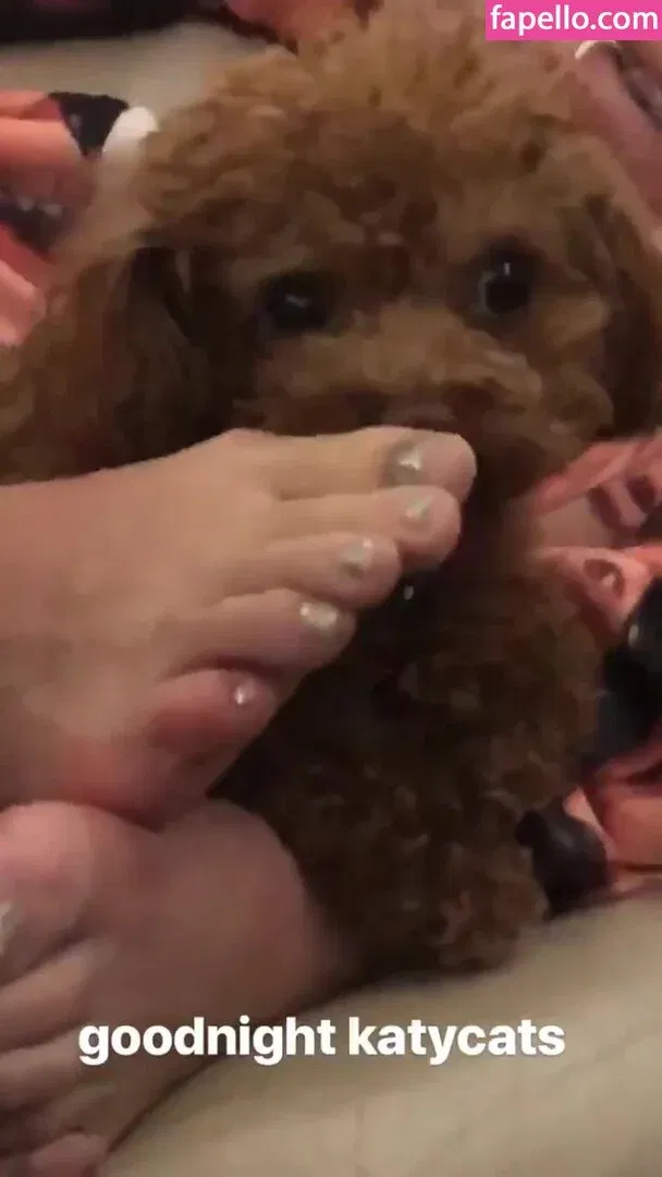 Katy Perry Onlyfans Photo Gallery 