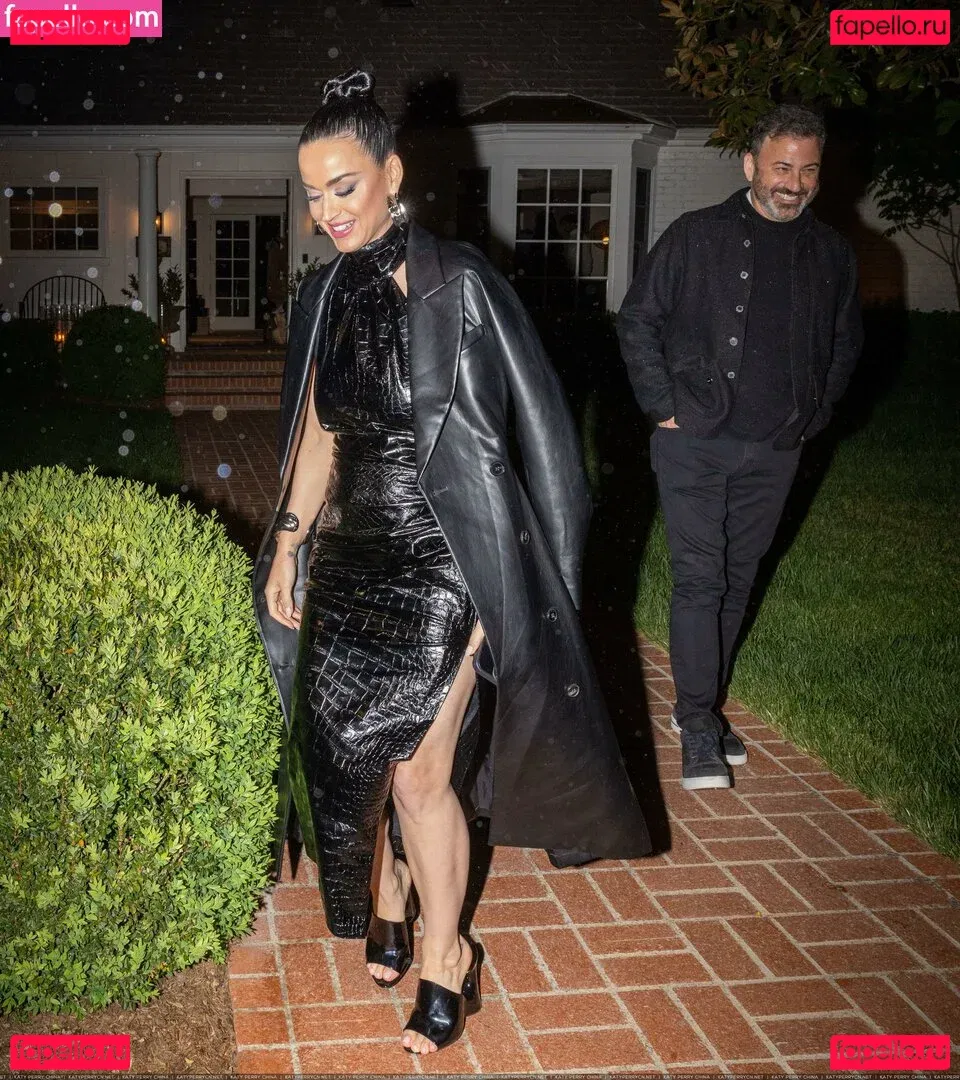 Katy Perry Onlyfans Photo Gallery 