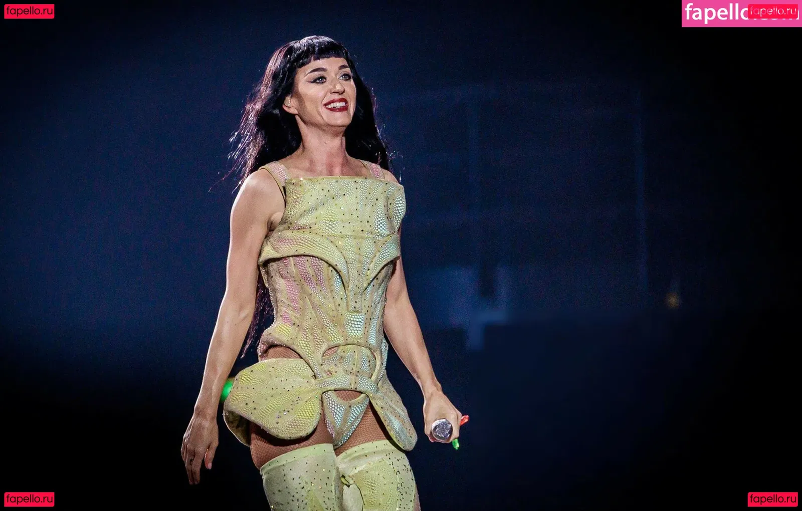 Katy Perry Onlyfans Photo Gallery 