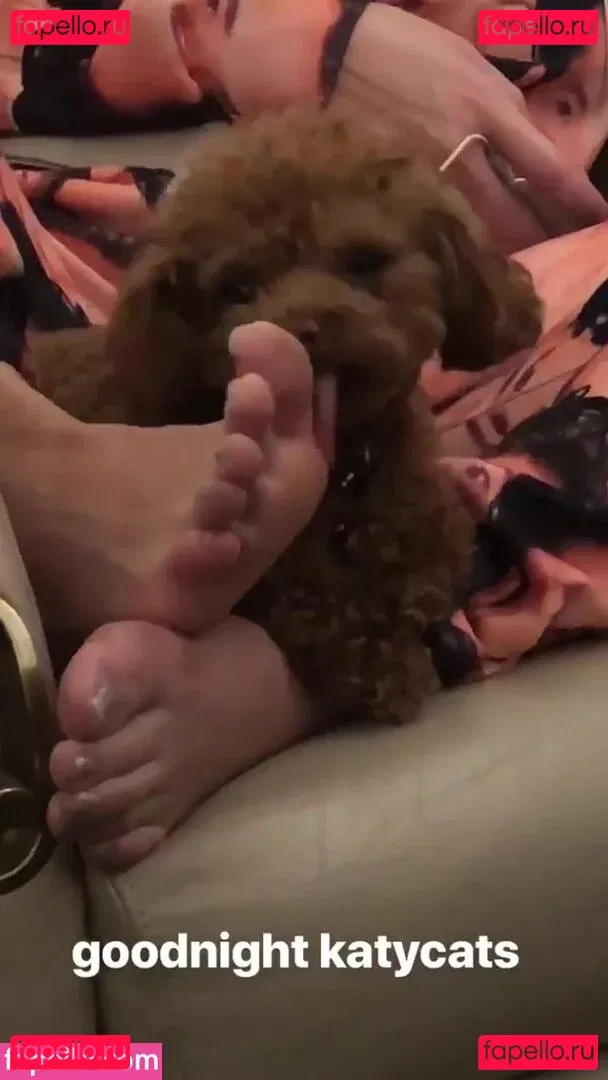 Katy Perry Onlyfans Photo Gallery 