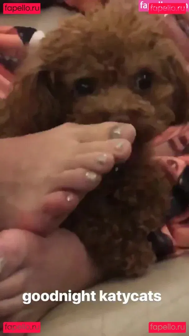 Katy Perry Onlyfans Photo Gallery 