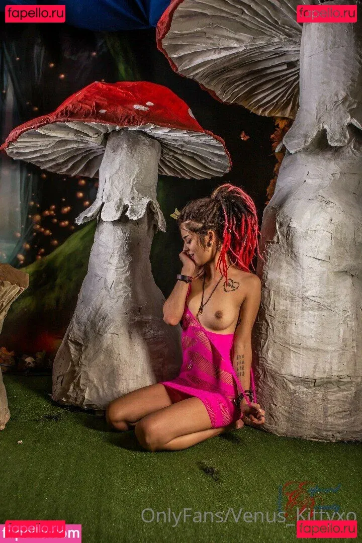 venus_kittyxo Onlyfans Photo Gallery 