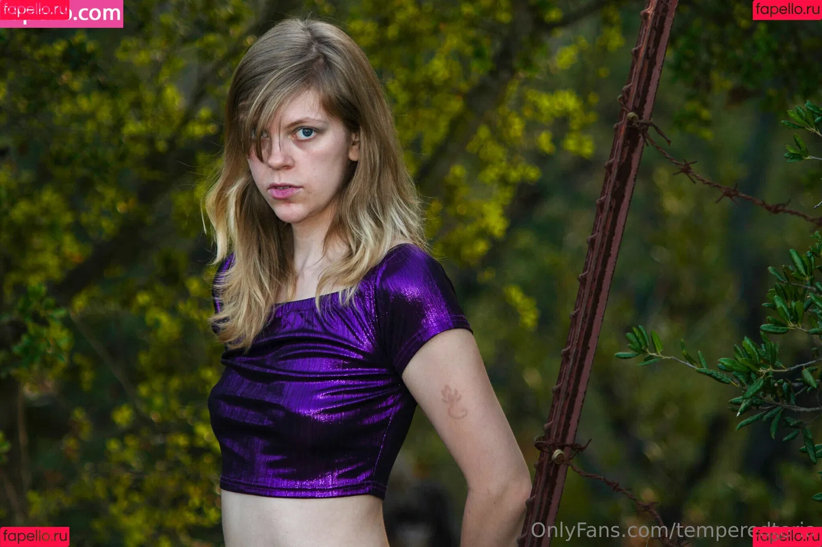 temperedteria Onlyfans Photo Gallery 