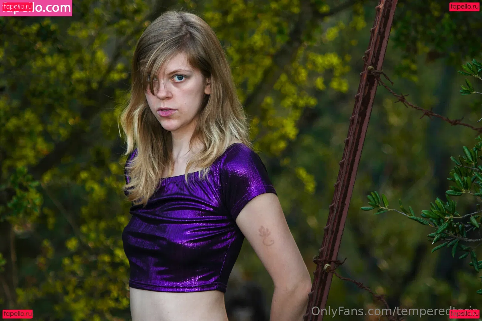 temperedteria Onlyfans Photo Gallery 